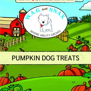 pumpkin dog treat back